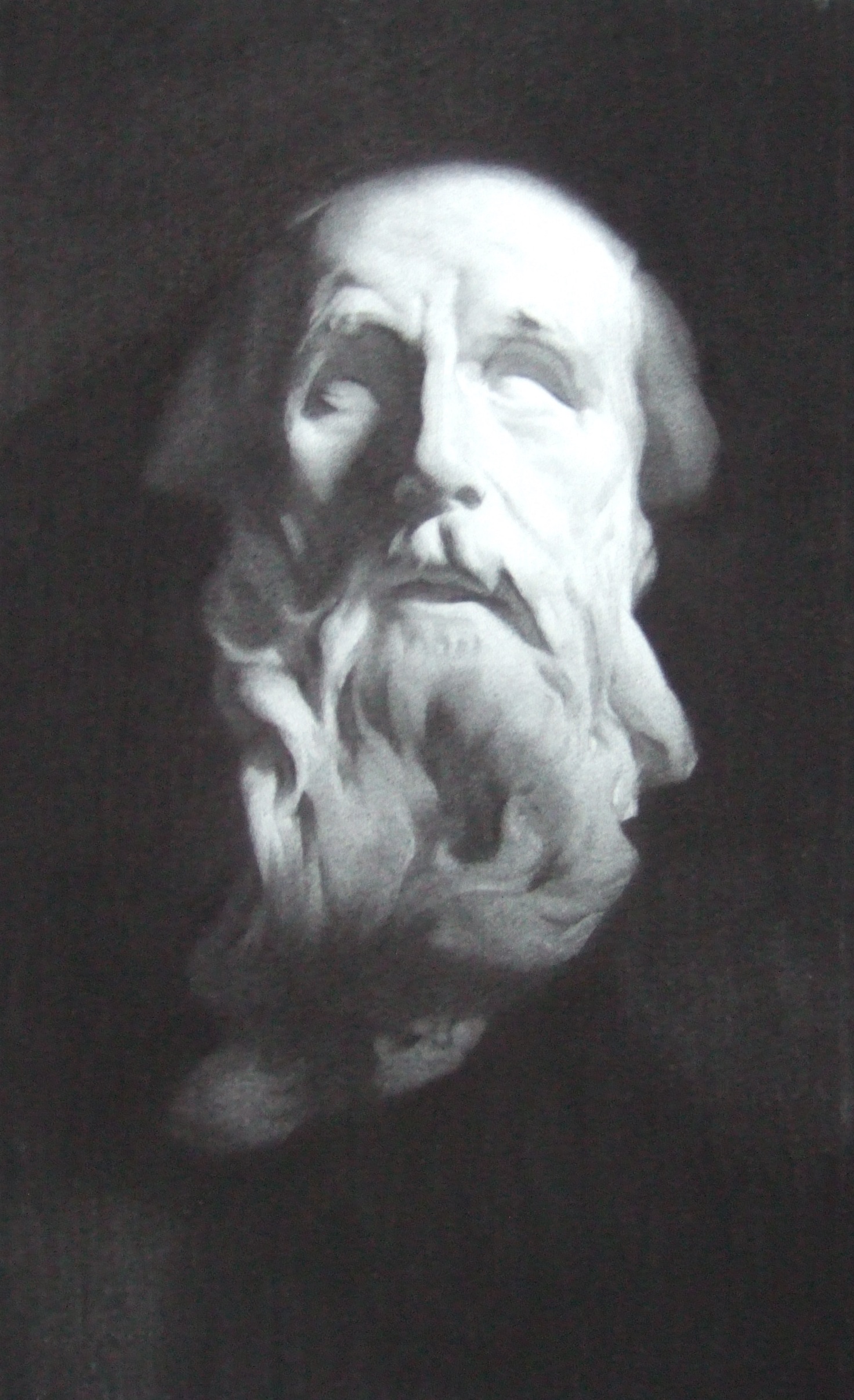 Nicholas_Benedict_Robinson-Cast_2-Dec_2011-35cmx58cm-charcoal_on_paper.JPG