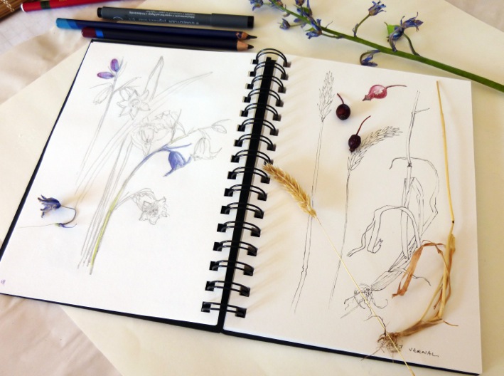 5Watercolour-class2016.jpeg