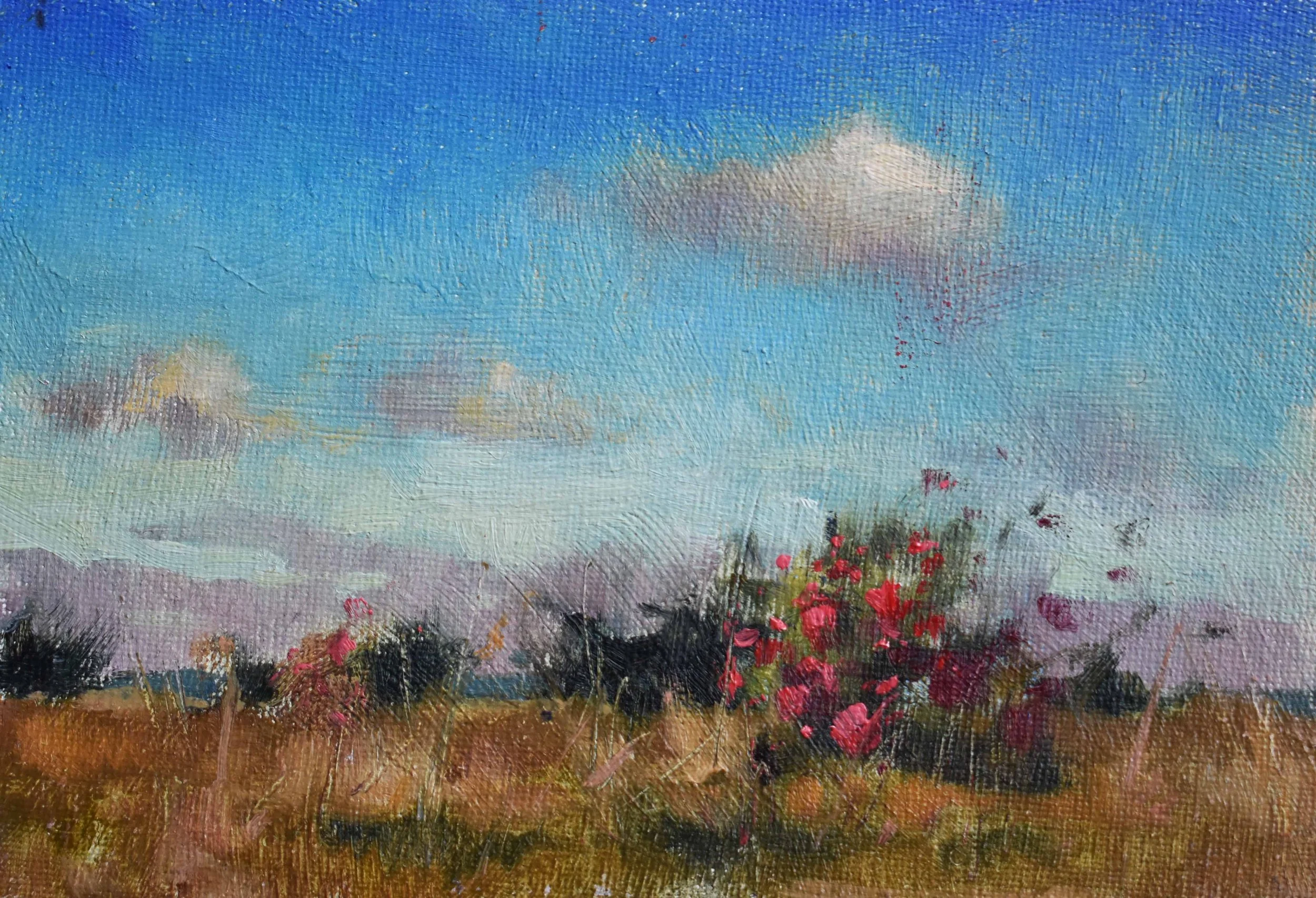 PLEIN AIR IN POWERSCOURT GARDENS | DAVE WEST
