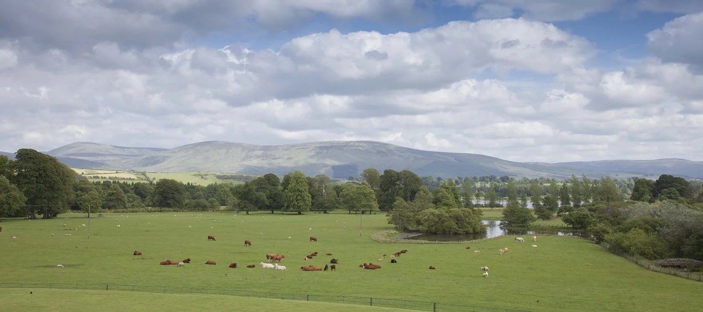 PLEIN AIR FESTIVAL AT RUSSBOROUGH HOUSE