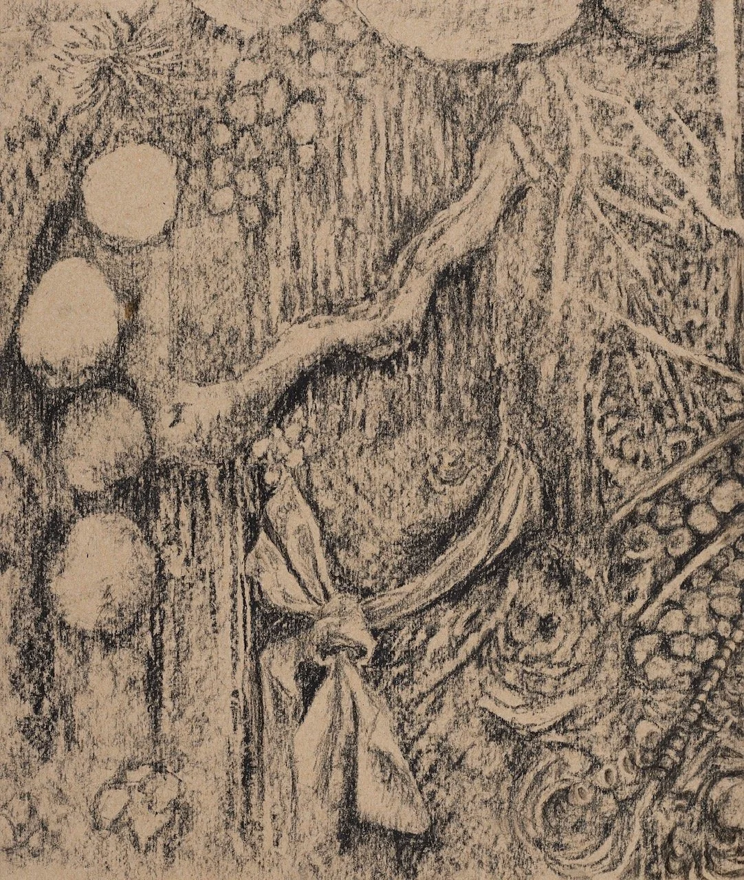 DRAWING FROM NATURE | EDEL CAMPBELL