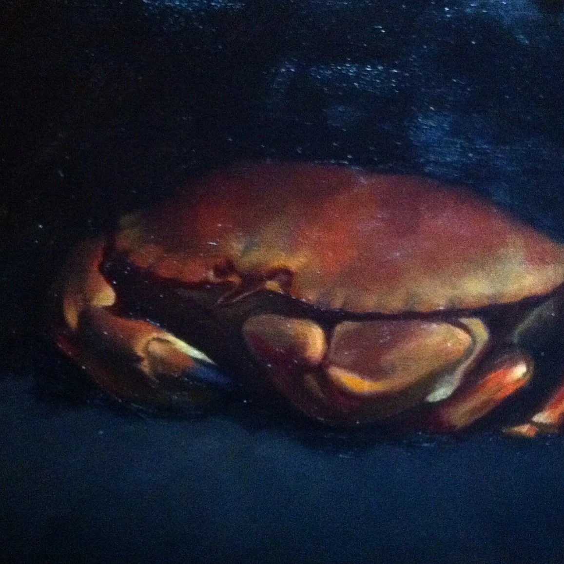 LD 2516275307620330606.JPG