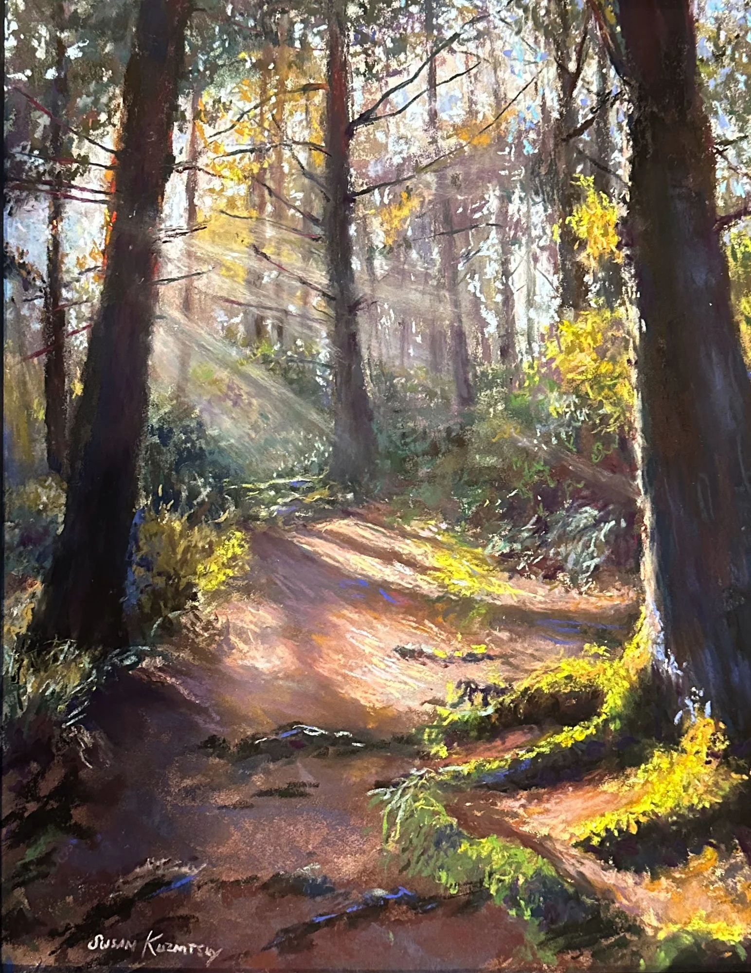 SK A-Walk-in-the-Woods.jpg