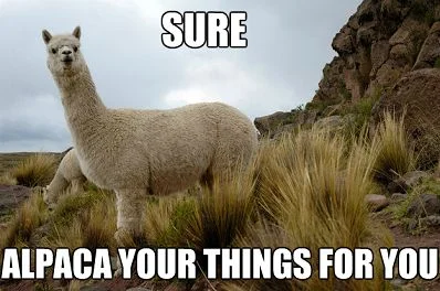alpaca.jpg