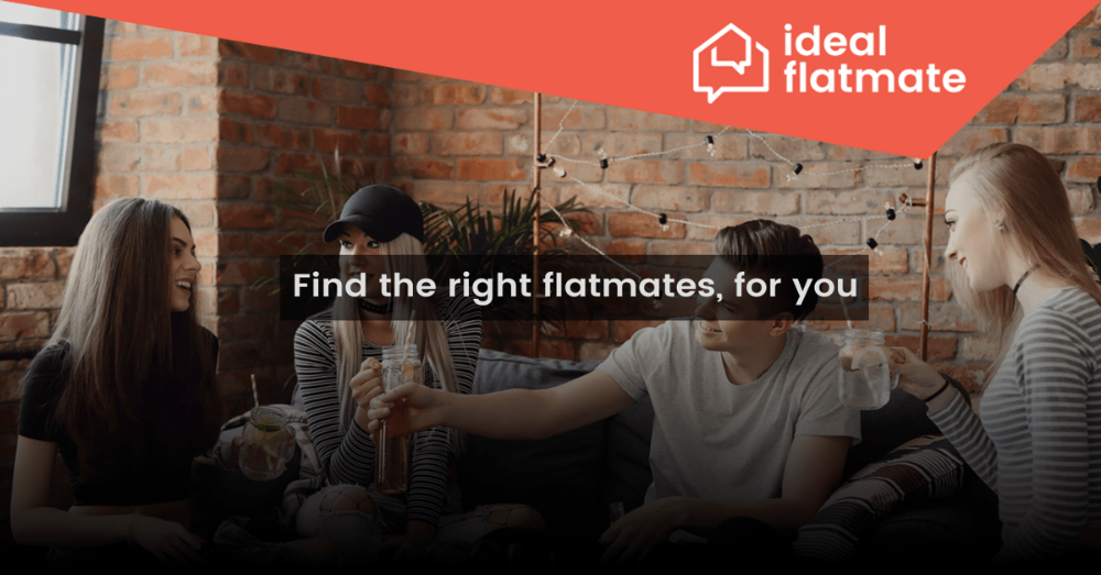 ideal flatmate screen-min.png