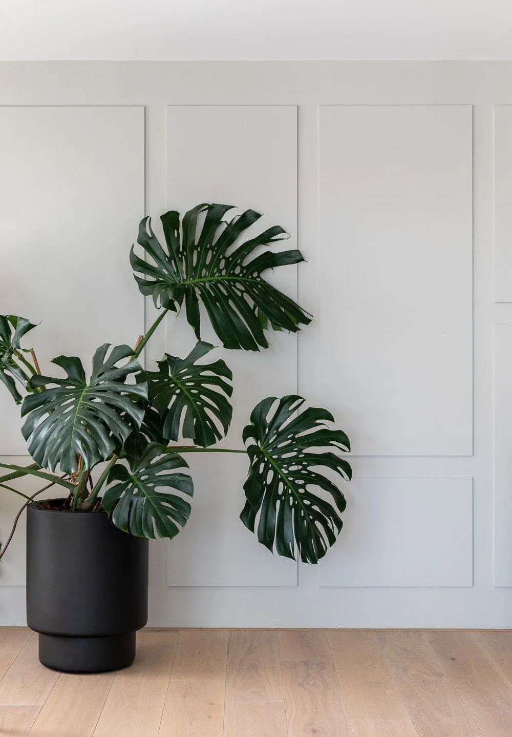 RoomRebelle 025 - kopie.jpg