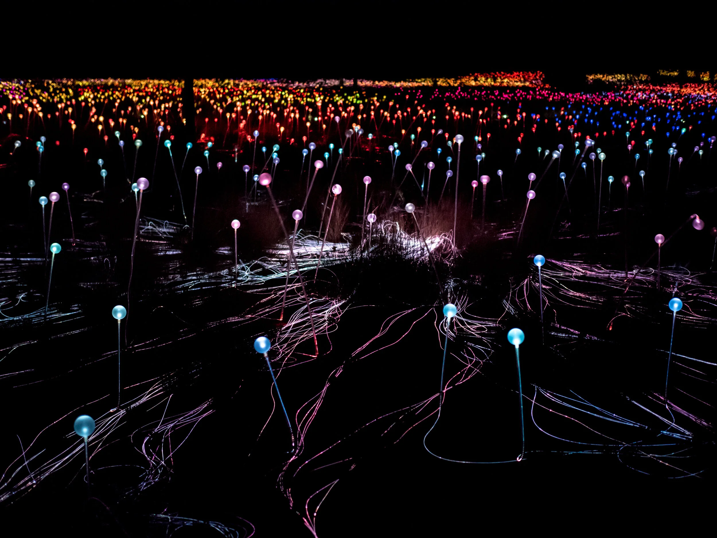 PB061195-23.jpg