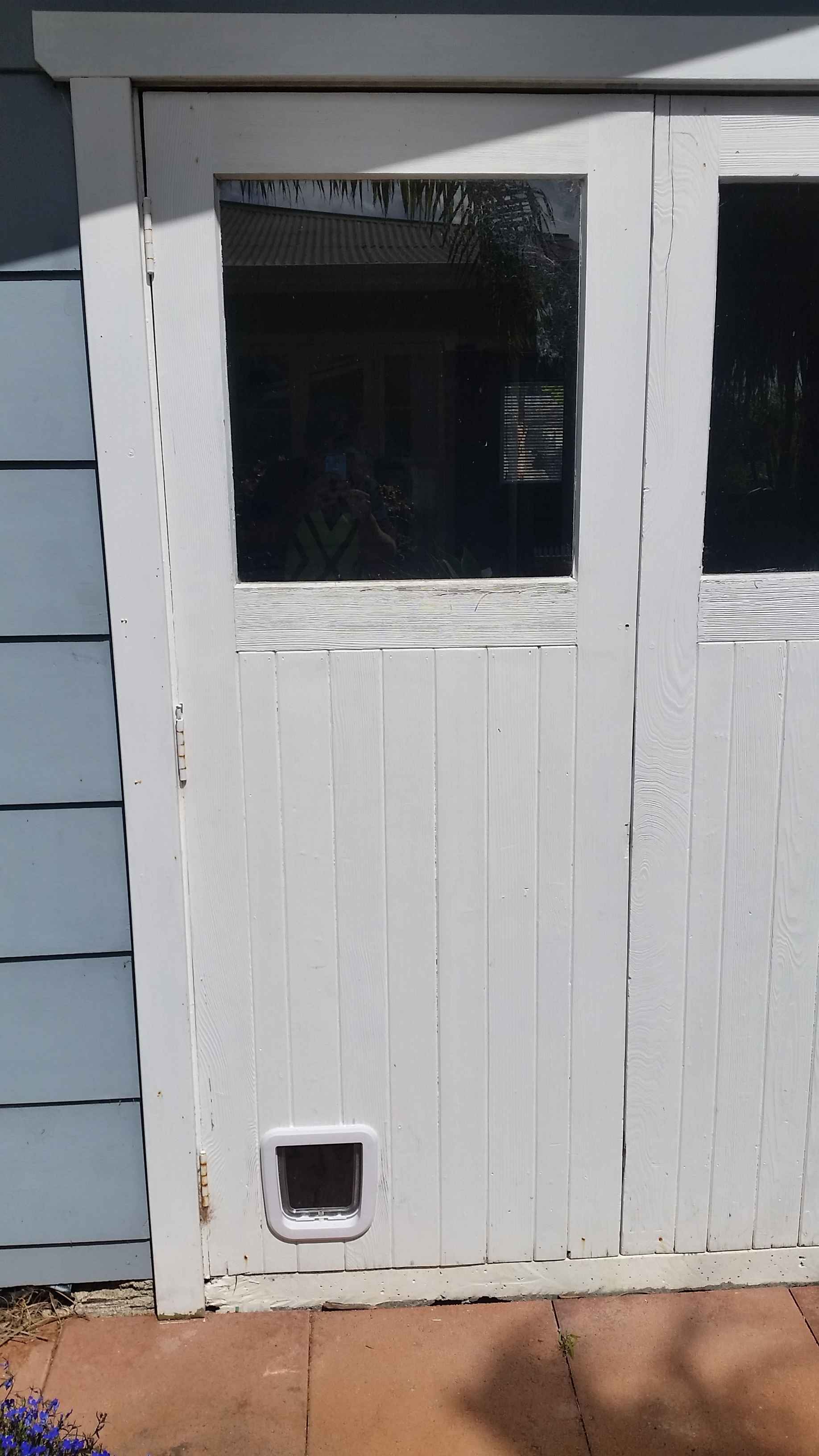 Cat Door installed into Wood