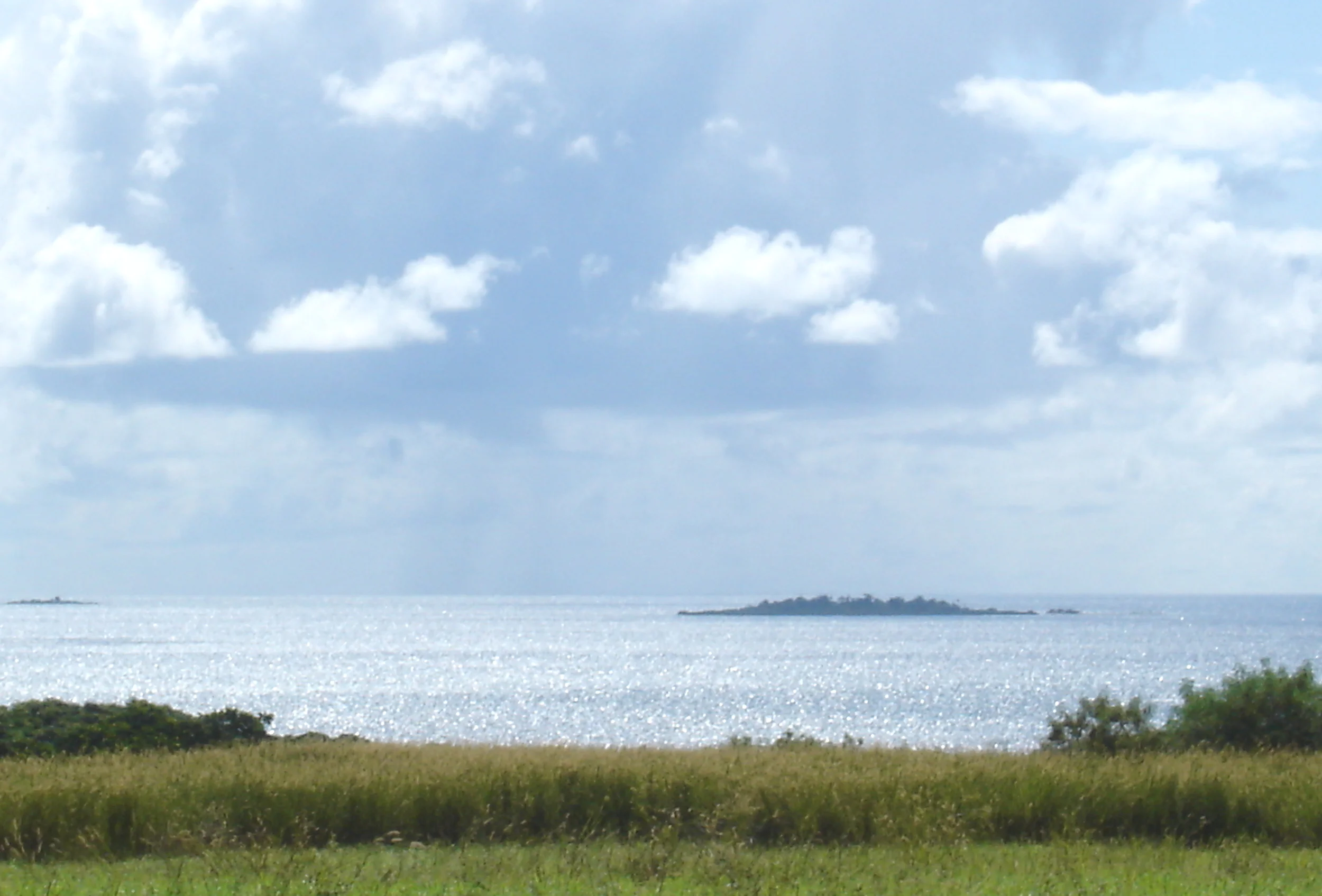 site1 2500x1695.jpg
