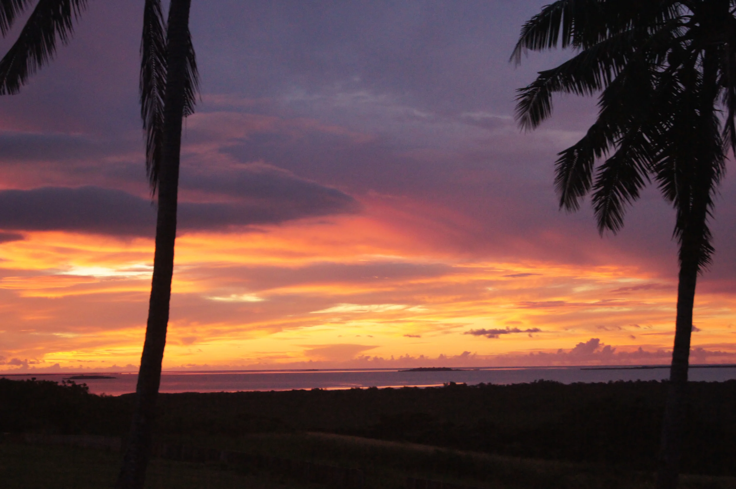 DSC00997v2 2500x1661.jpg
