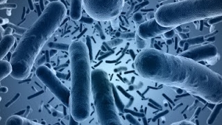 Biohealth.jpg