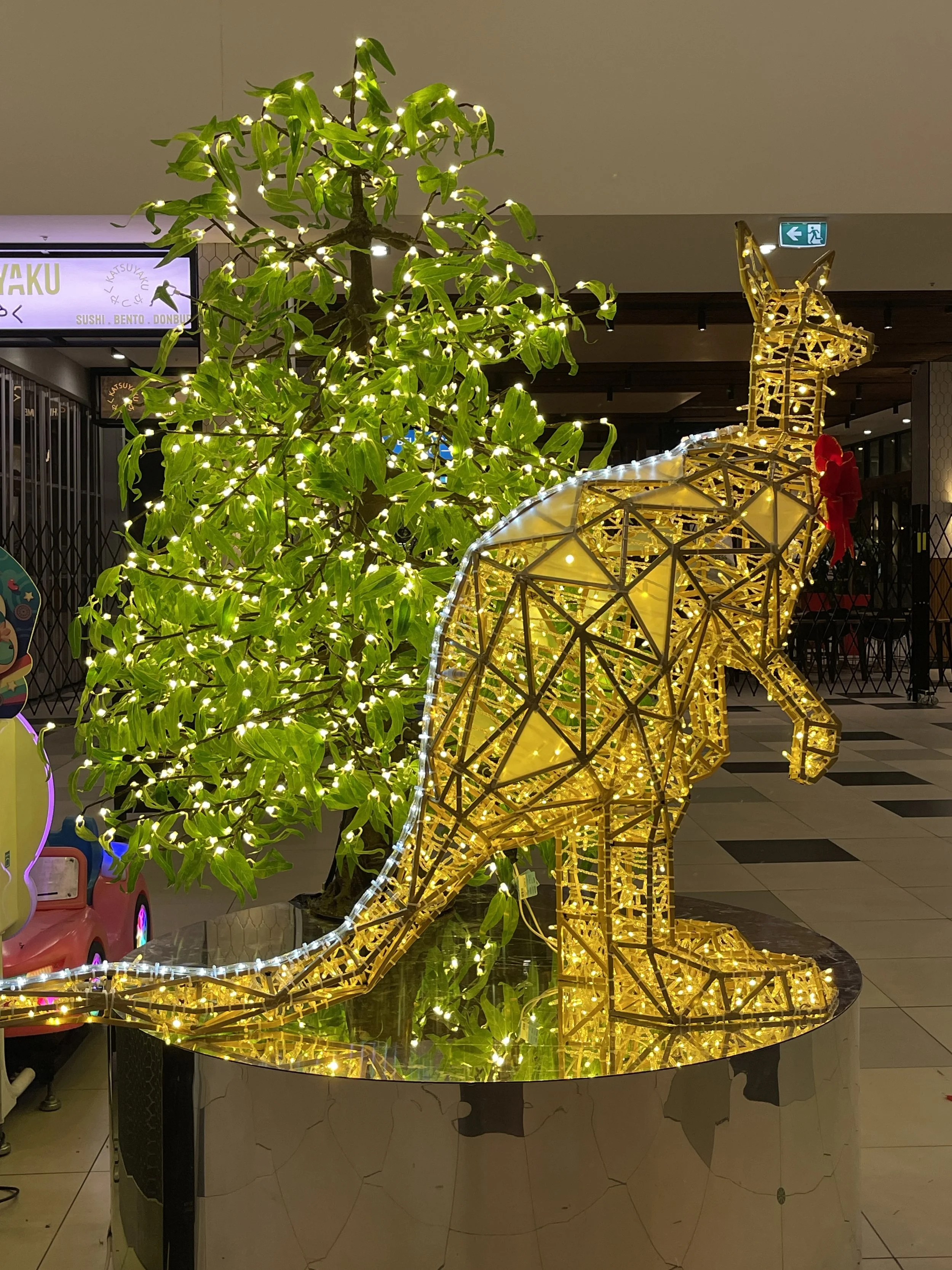 BURWOOD ONE KANGA.JPG