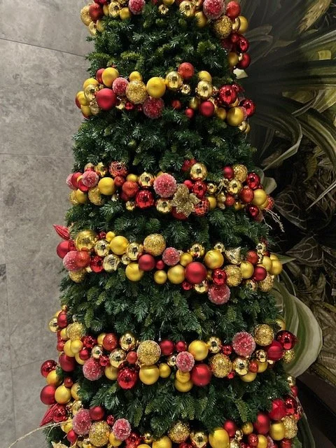 M-City Treee.jpg