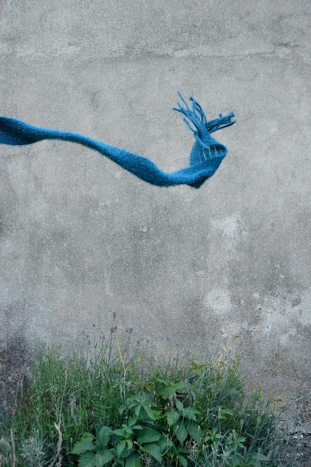 midivertounmondo_still03.jpg