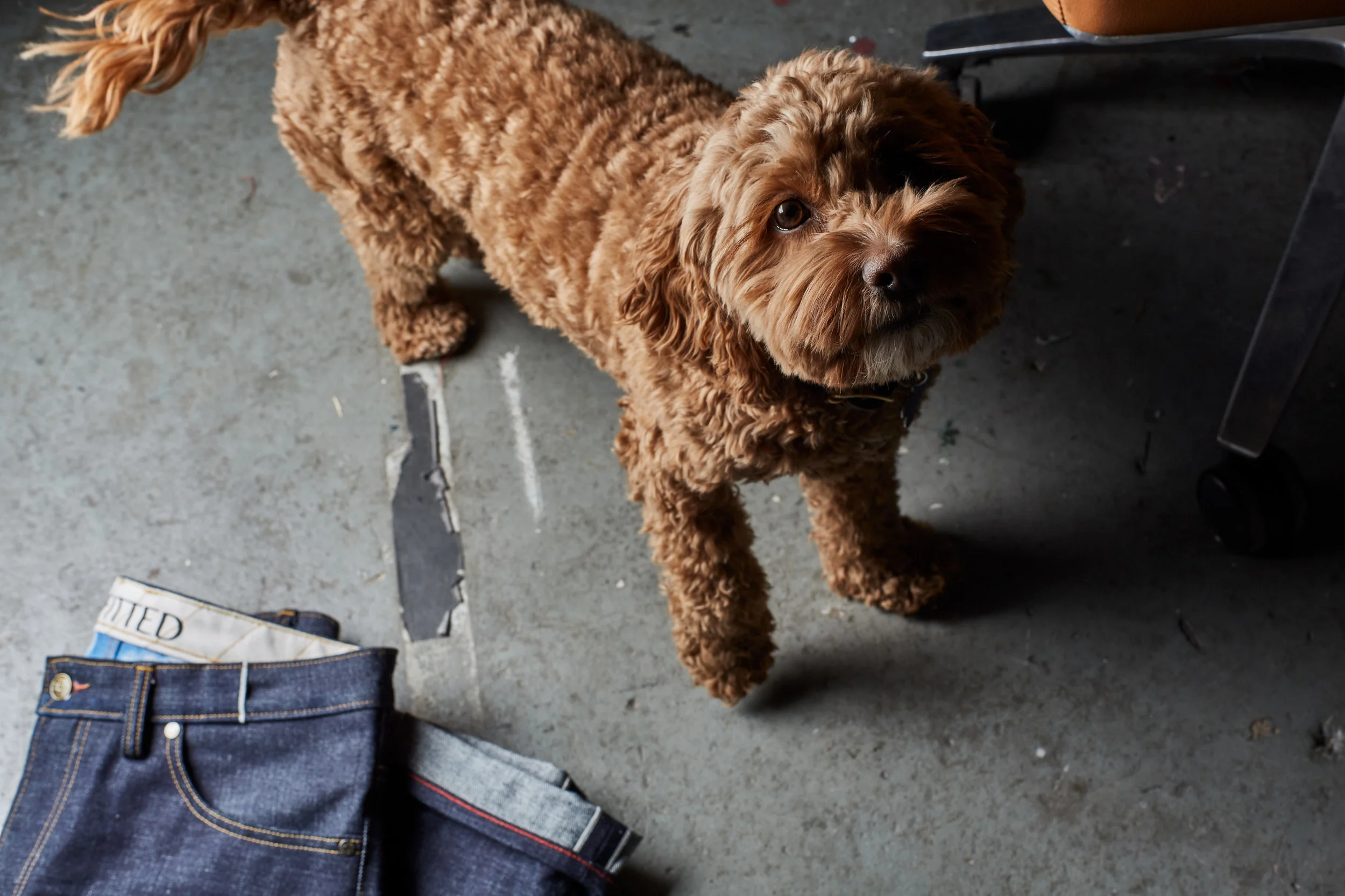 HOW DID YOU GET HERE? FEATURING ERIC JOHN OF FITTED UNDERGROUND &amp;   NY DENIM HANGS