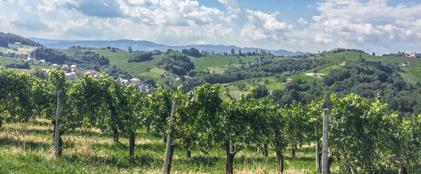Ratsch an der südsteirischen Weinstraße - Blick vom Weingut Gross