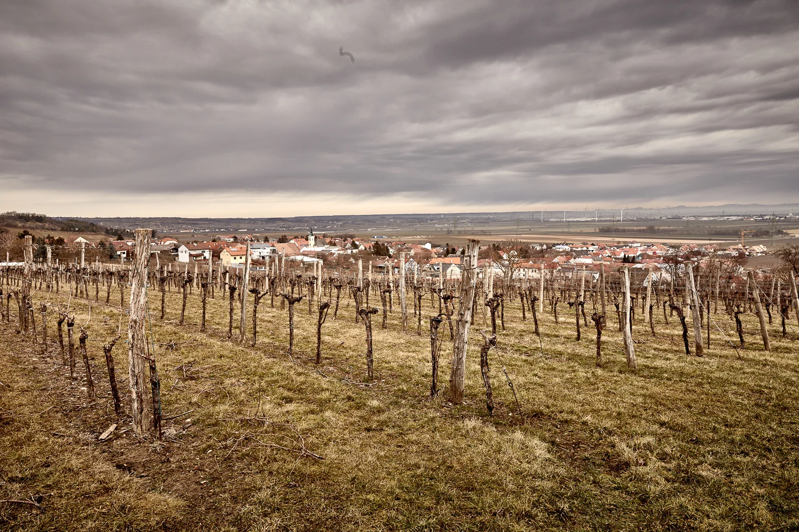 Hagenbrunn