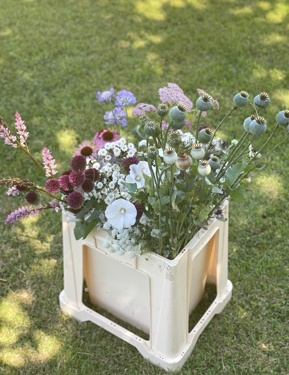 Mixed stem flower bucket by Nice Bunch