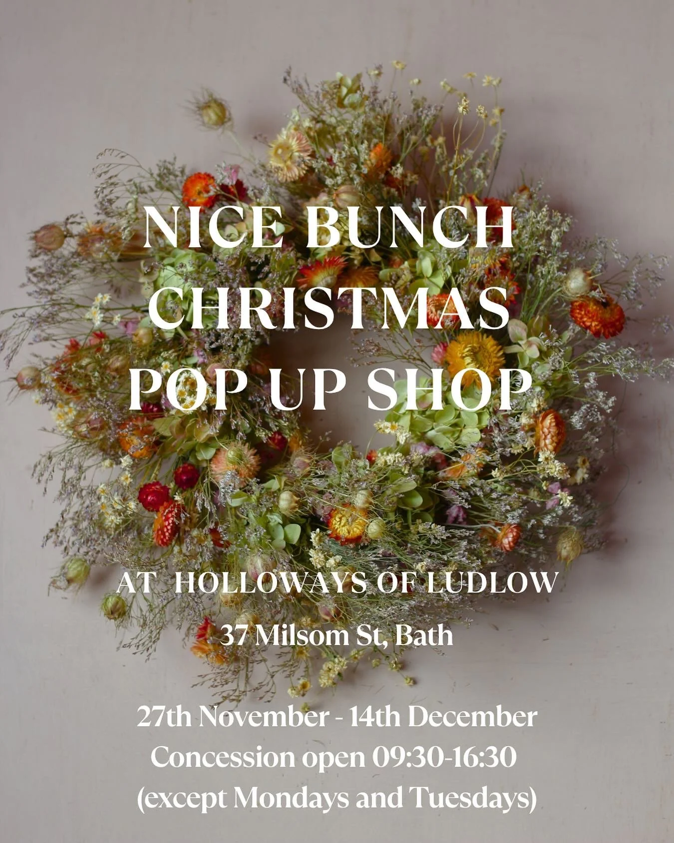 We are super excited to announce our Christmas pop up shop Holloways of Ludlow in Bath @hollowaysbath 

We will stock gorgeous decorations from fresh foliage garlands and wreaths to dried flower baubles and tinsel. All designed with the festive seaso