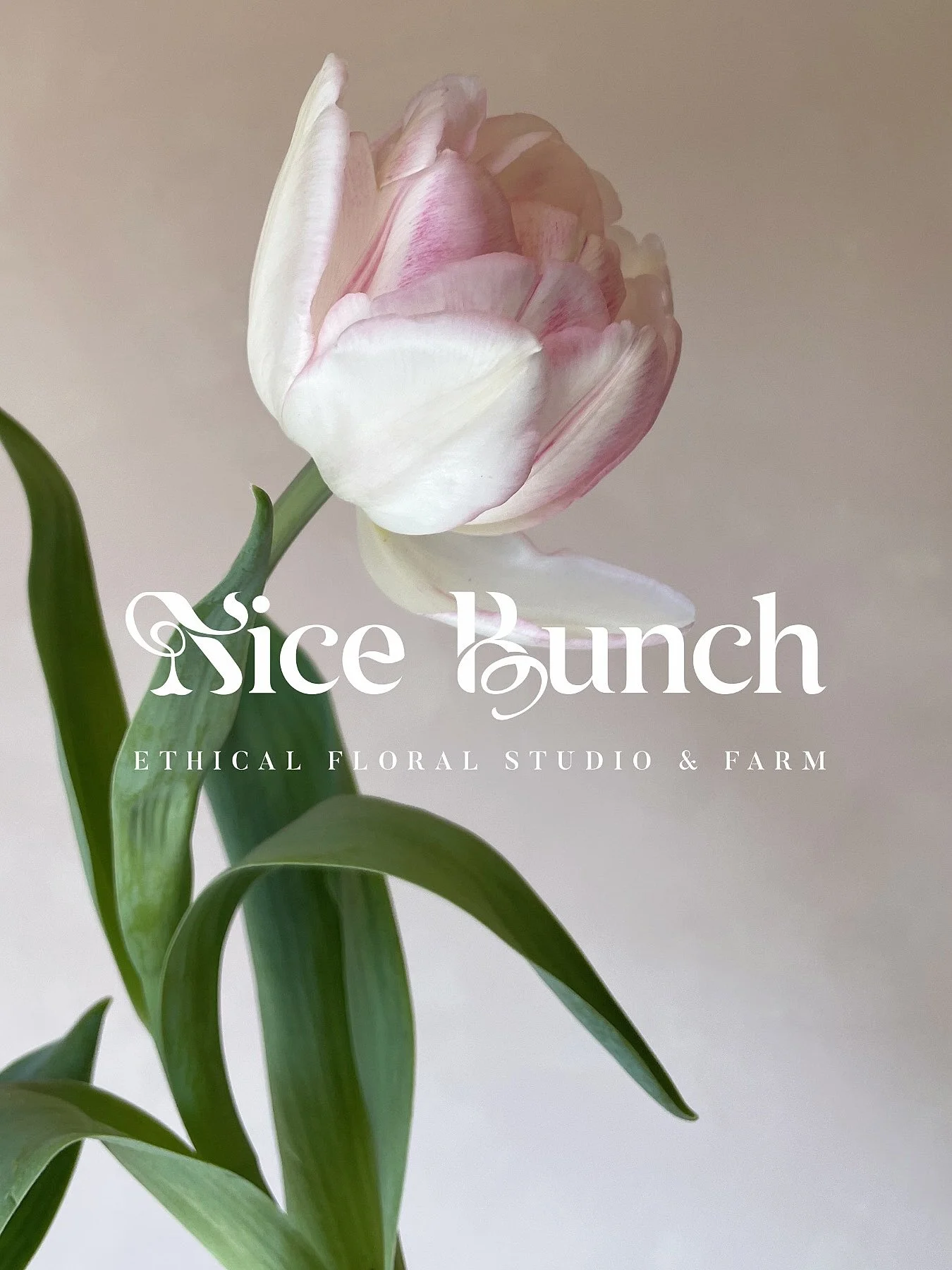 New logo alert. Super excited to share our new logo with everyone. We&rsquo;re still the same business, but now with a lovely new look.
⠀⠀⠀⠀⠀⠀⠀⠀⠀
Huge thanks to the brilliant Daniel Cox @danielcoxdesigner who put it together for us and patiently work