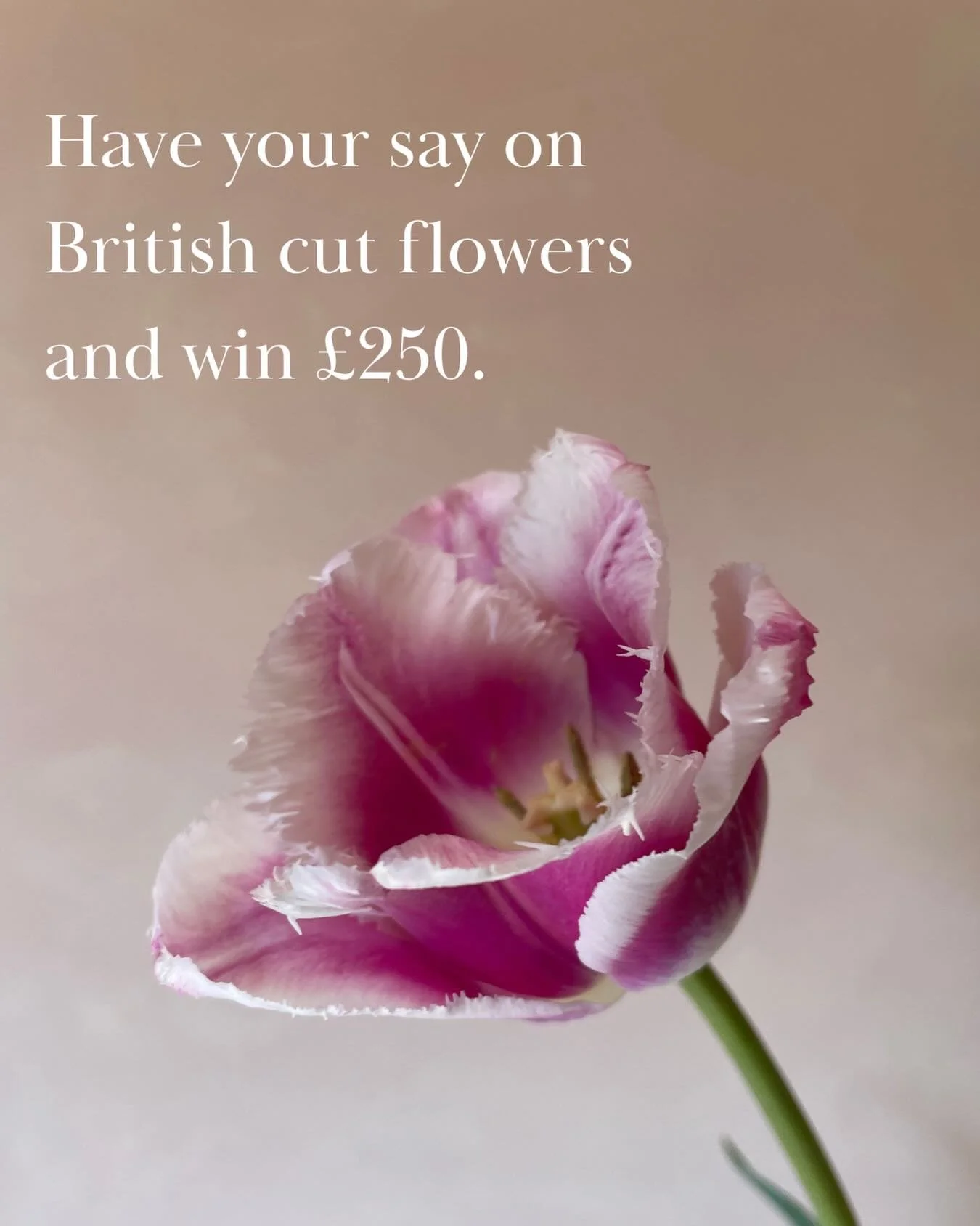 Have your say on British cut flowers. And be in with a chance to win &pound;250.

Take the survey now - link in bio.

We&rsquo;re helping to gather inputs from across the industry to understand what&rsquo;s working well, what can be improved and what