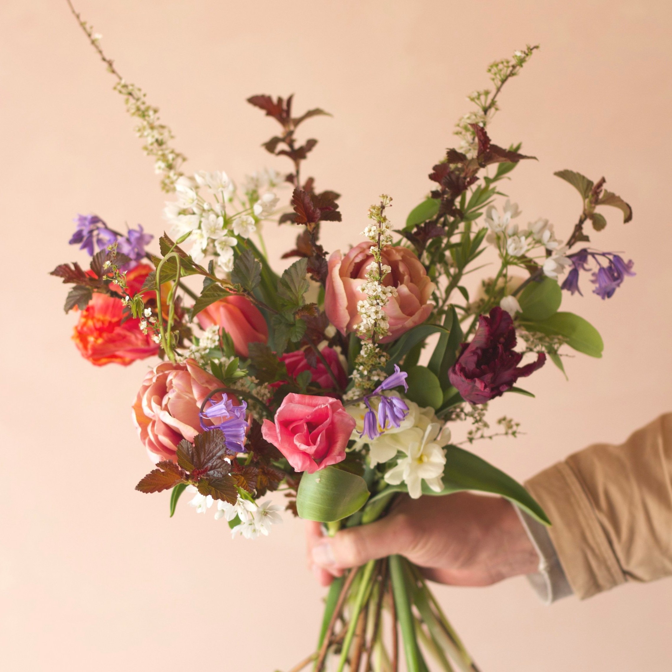 Nice Bunch Ethical Floral Studio Sula and Oliver Fresh Flower Bouquet  Local Delivery to Bath, Wells, Somerton, Shepton Mallet, Radstock, Midsummer Norton Somerset Petite Size