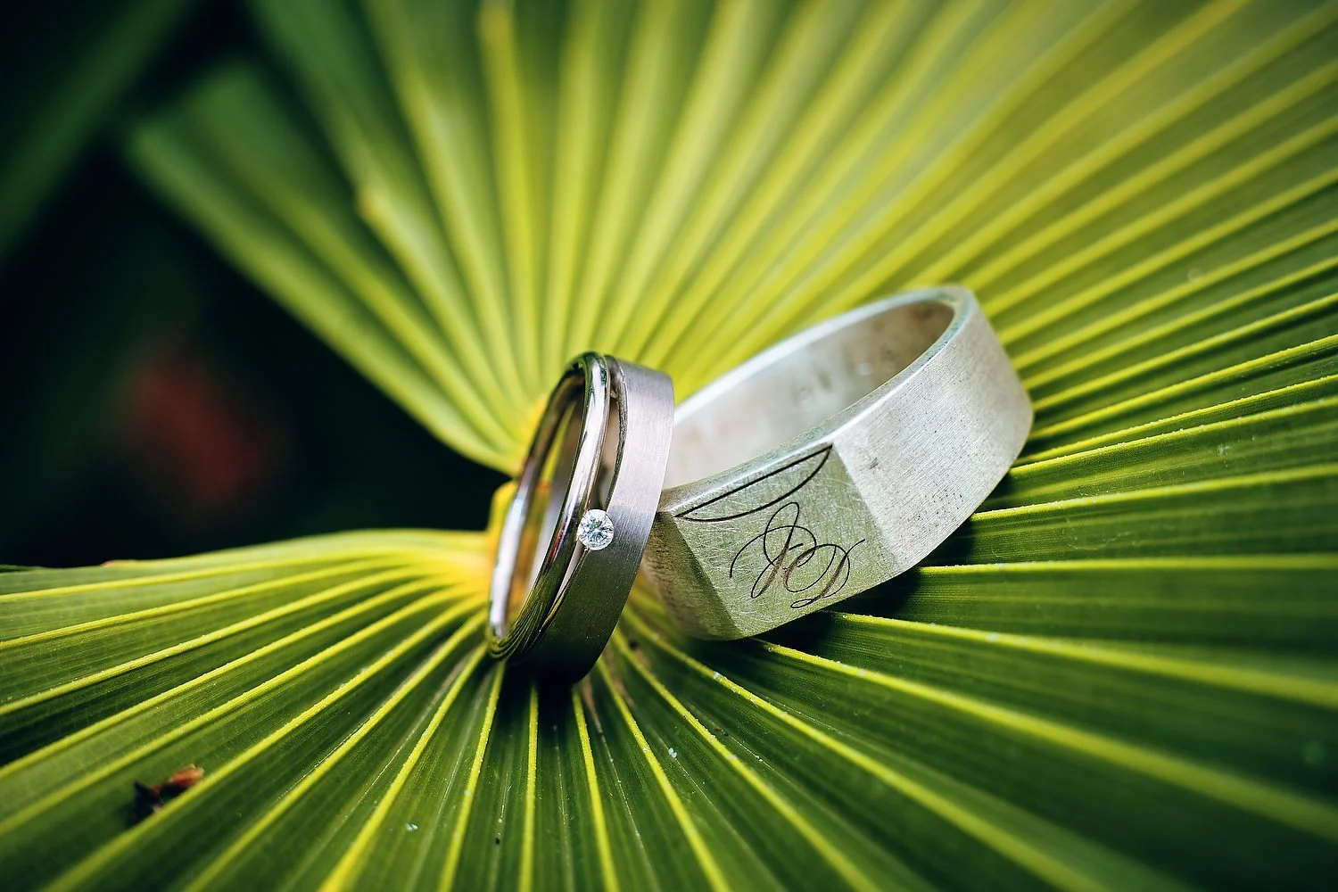 De Fuji 56mm F1.2 met macro tussenring