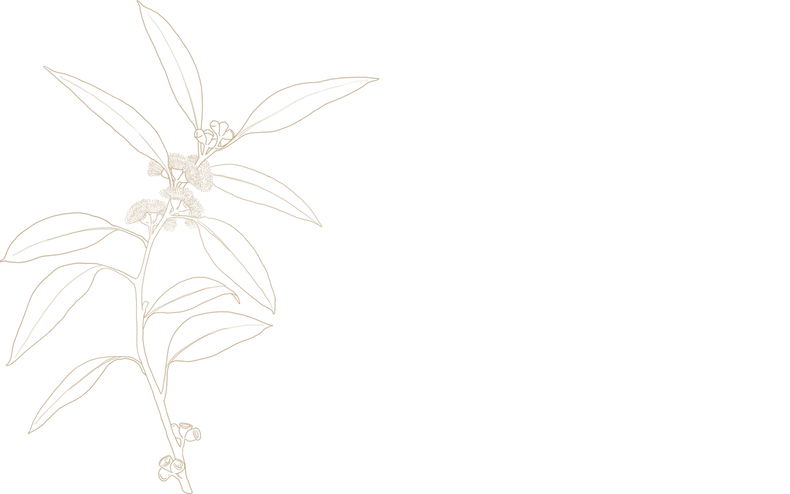 Tan_Logo_XSmall.png