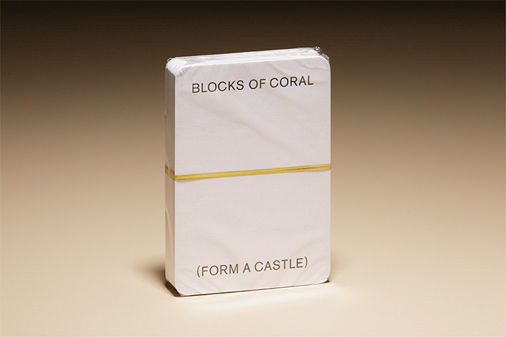 blocksofcoral-720px-endless.gif