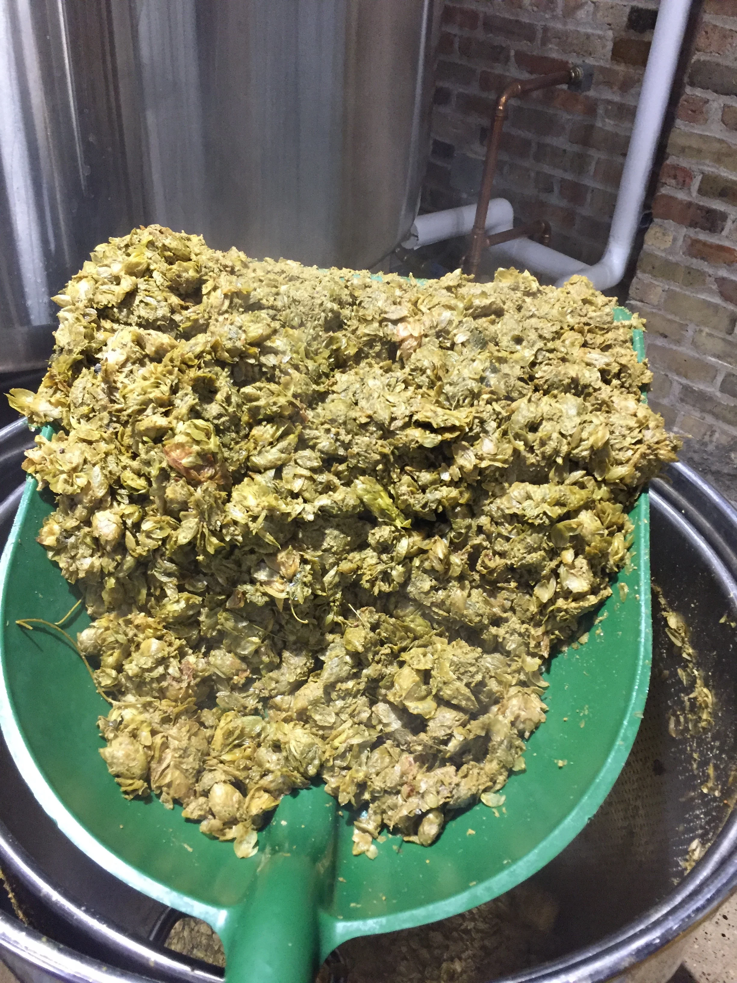 Growler Mag Names Empty Rowboat One of the Top IPAs in MN