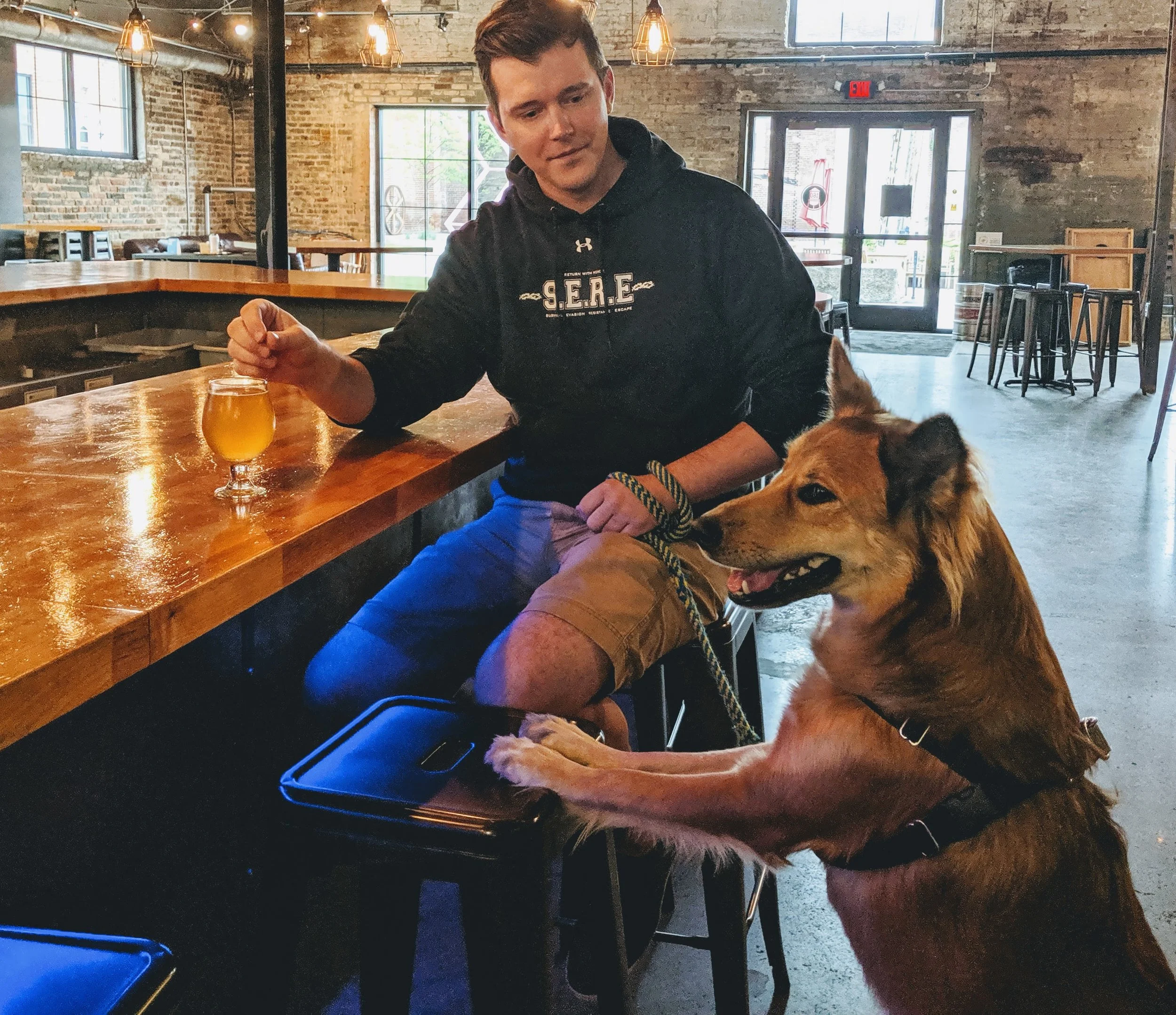 Fur real? Dogs now welcome inside!