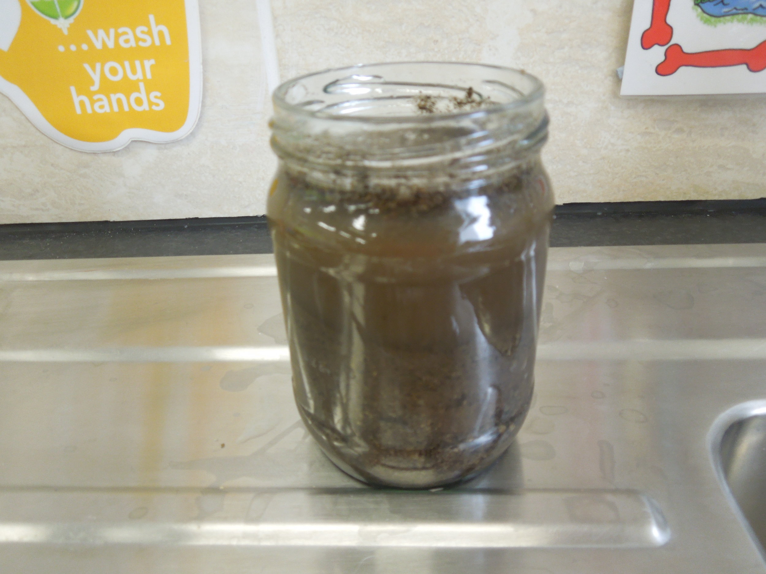 soil picture no.2 with h20.JPG
