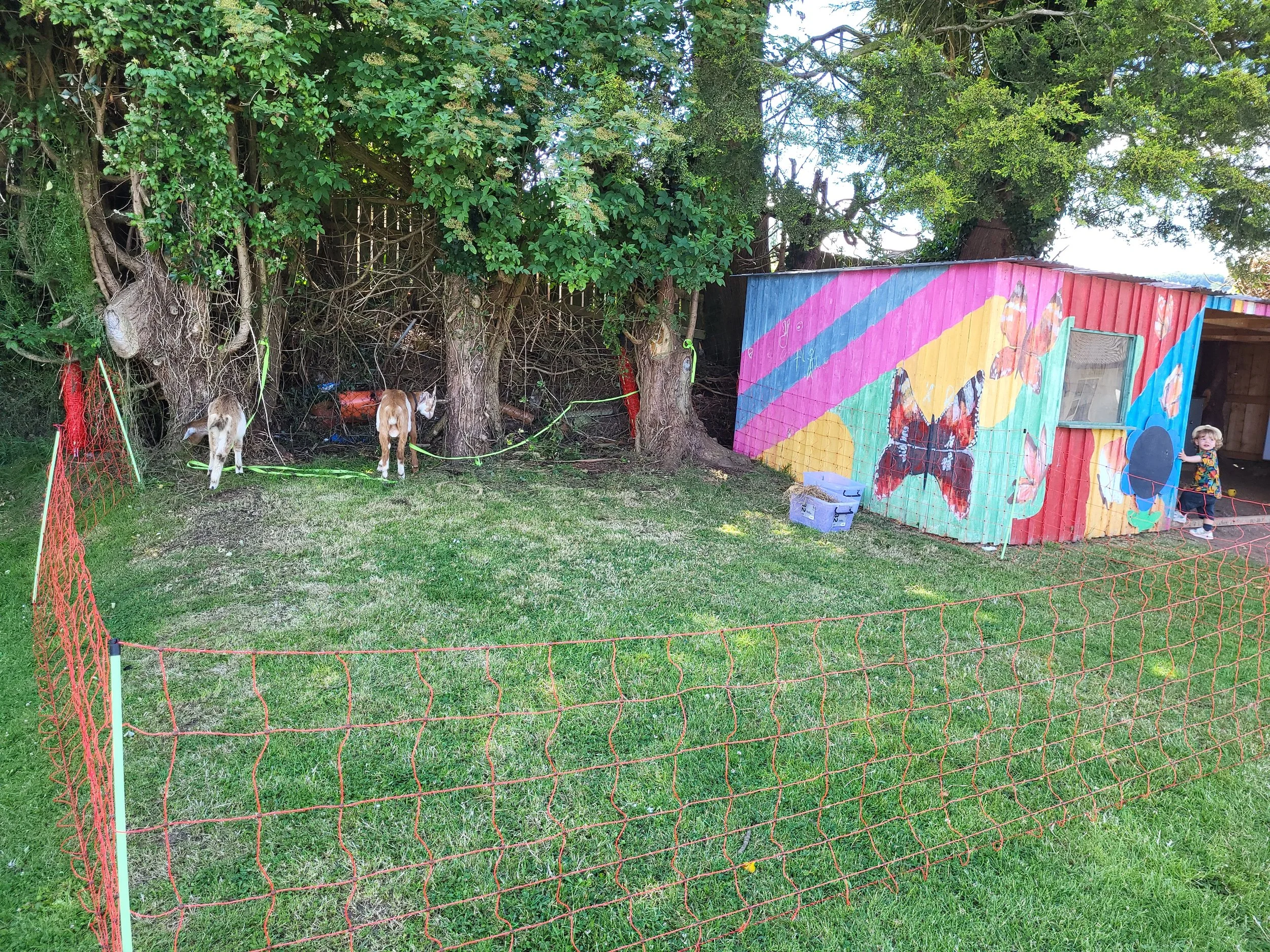 20260620_153549.jpg