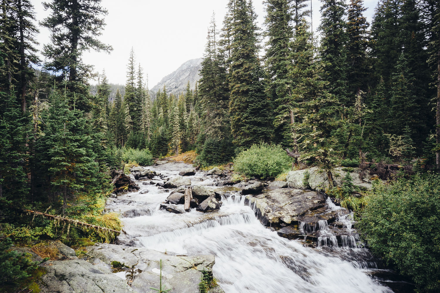 Big Timber Creek Crazy Mountains Montana