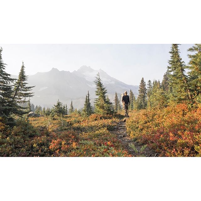 Feelin&rsquo; like fall | Oregon
.
.
.
#theopenroadimages #backpacking #oregon