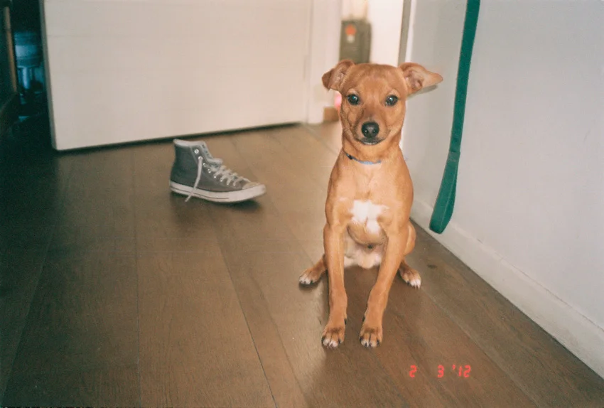 2.3.12 - found him at the street