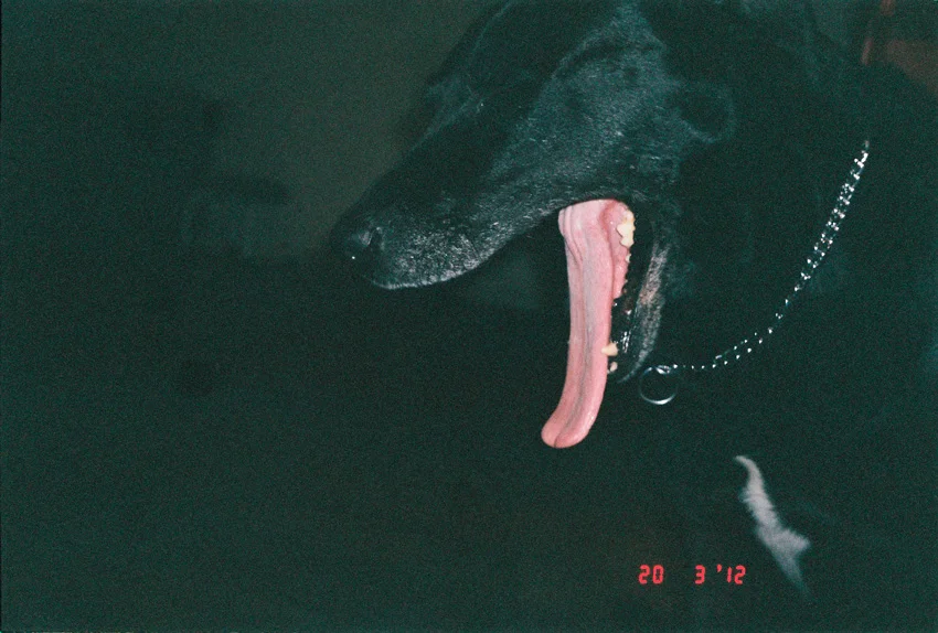 20.3.12
