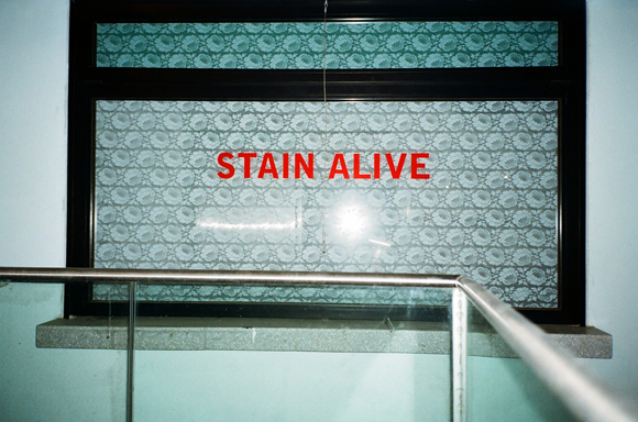 10.8.16 - STAIN ALIVE