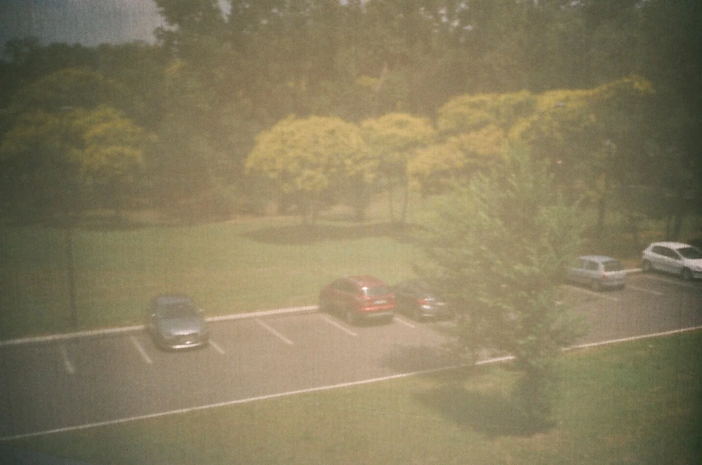 19.6.19