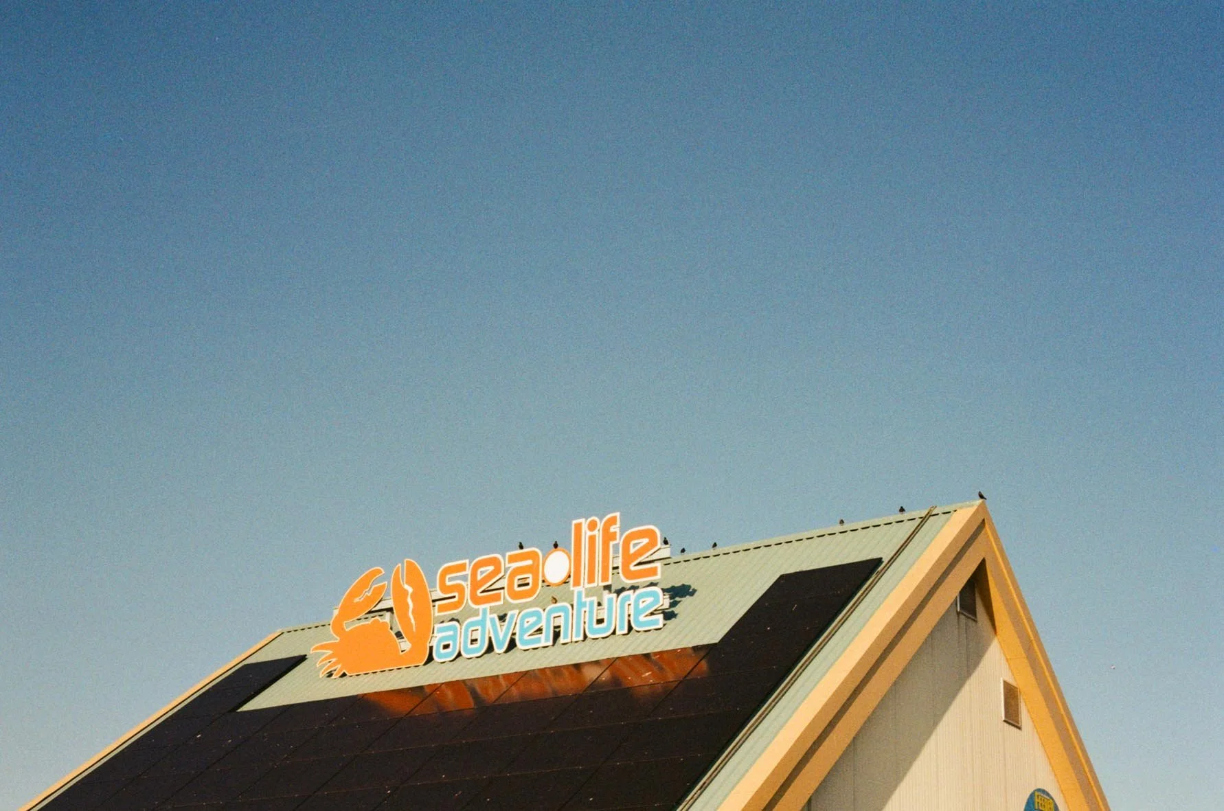 30.6.25 - SEA LIFE ADVENTURE