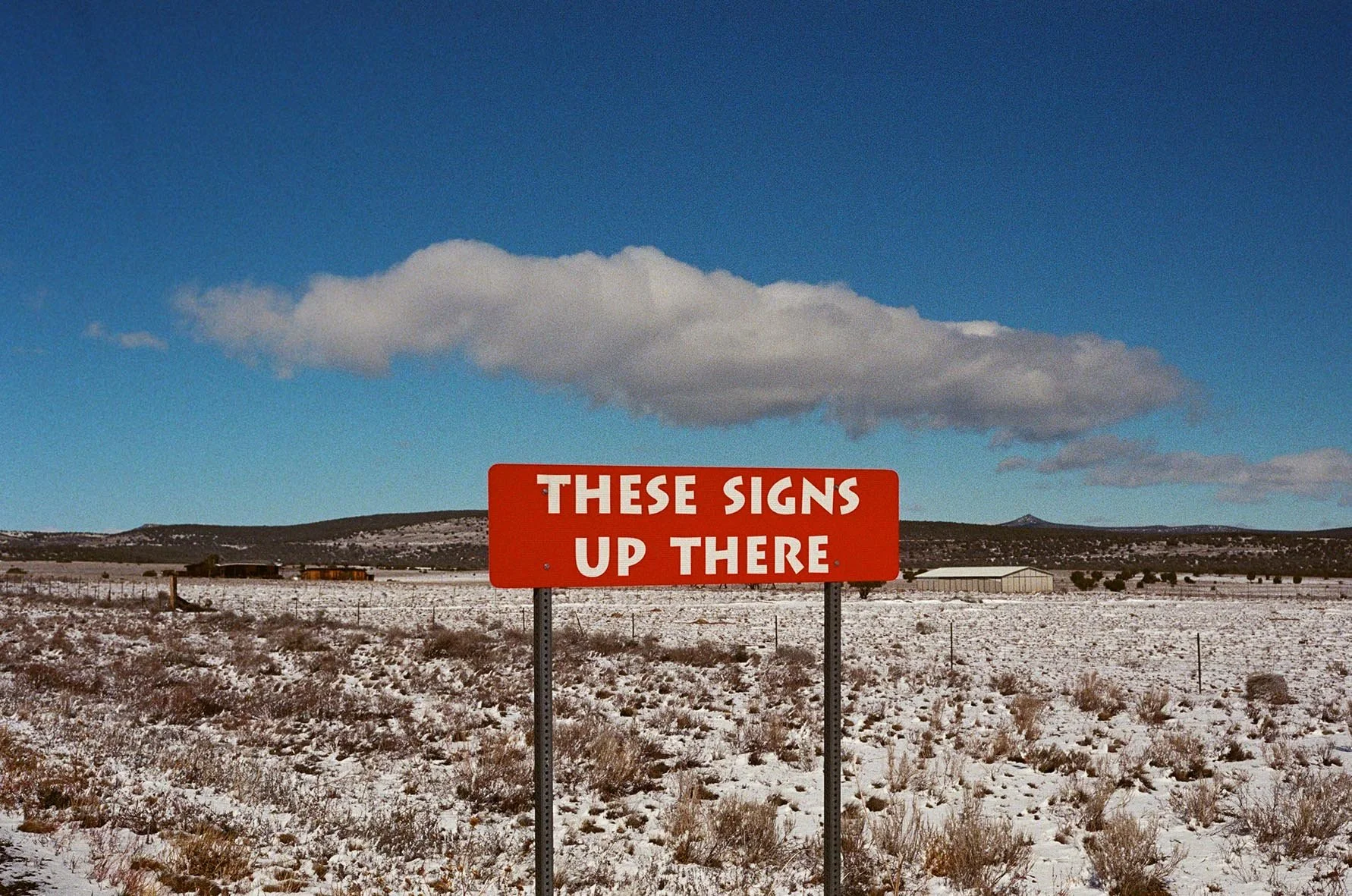 20.2.26 - THESE SIGNS UP THERE