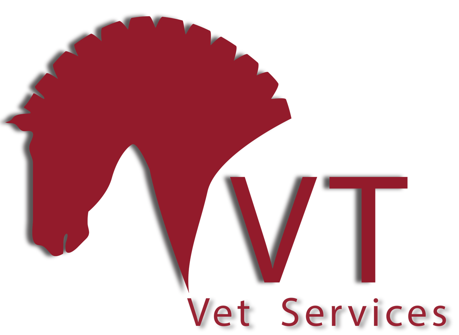 VT Vets