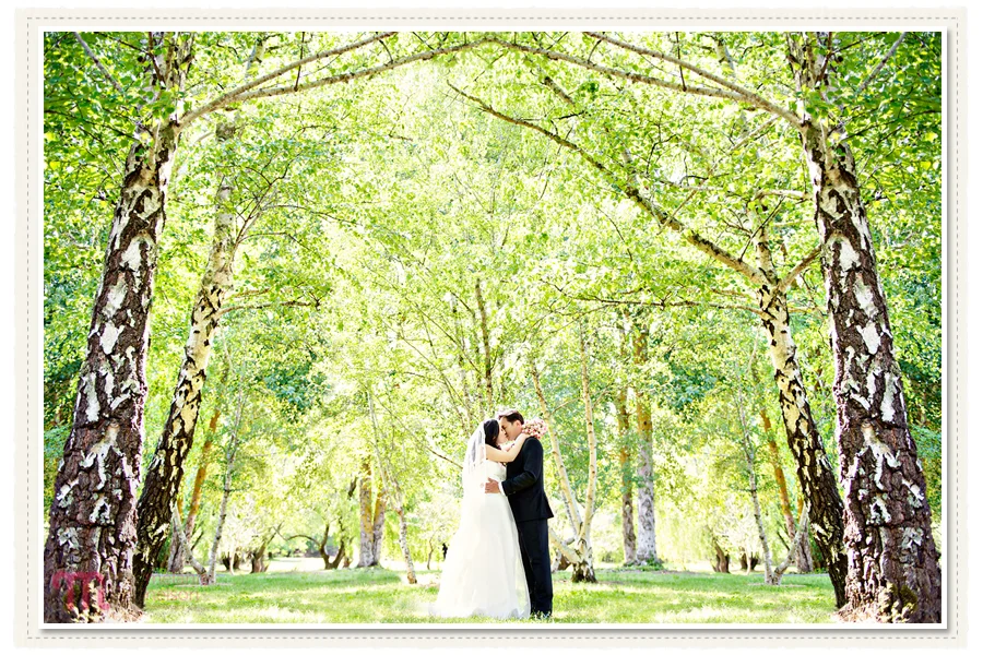 Adelaide-Pre-Wedding-Shoot-5.jpg