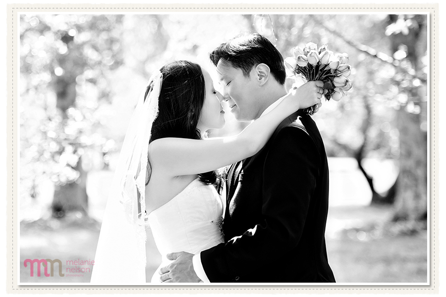 Adelaide-Pre-Wedding-Shoot-7.jpg