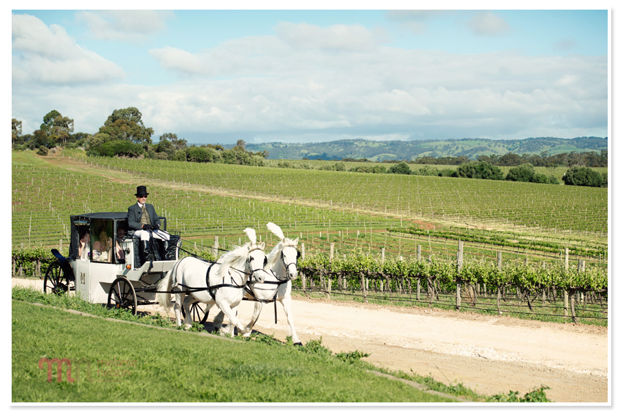 Coriole-Winery-Wedding-1143.jpg