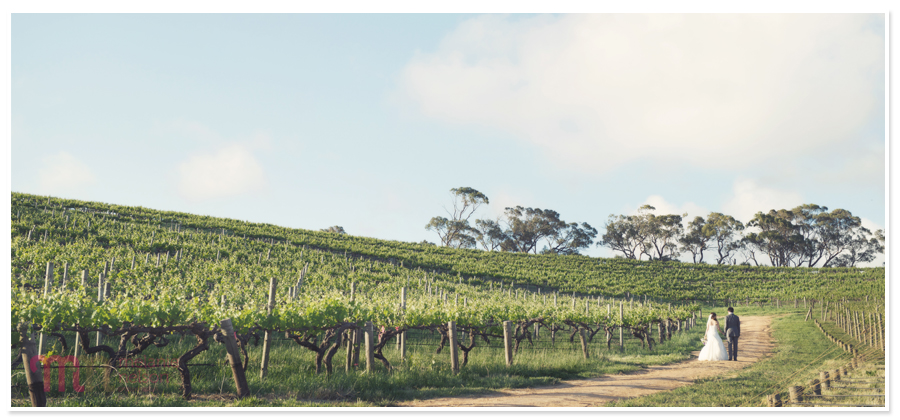 Coriole-Winery-Wedding-120.jpg