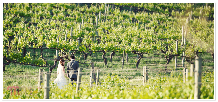 Coriole-Winery-Wedding-1211.jpg