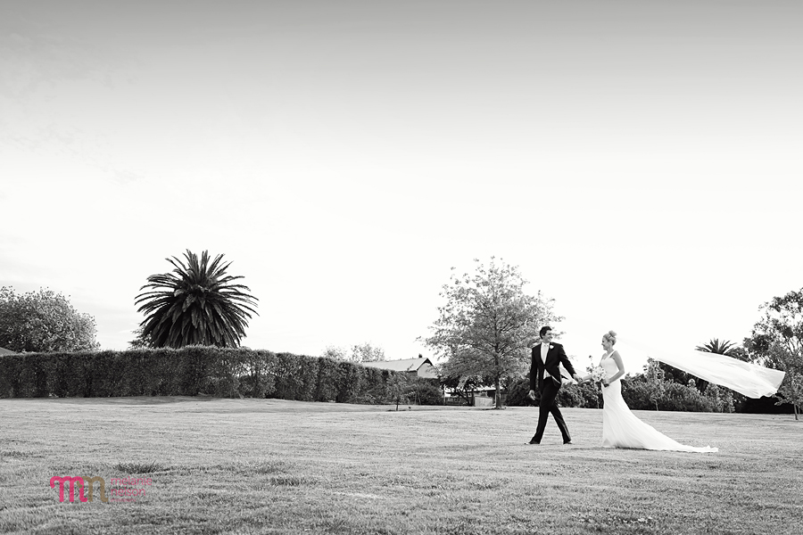 bird-in-hand-wedding14.jpg