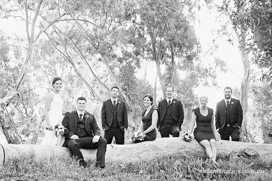 serafino-winery-wedding-photography01