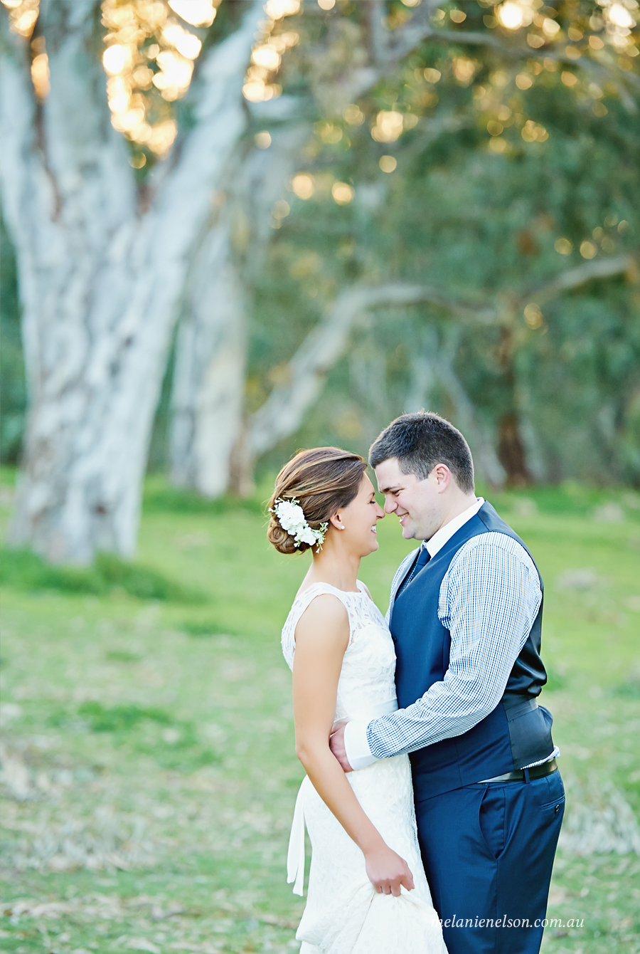 serafino-winery-wedding01